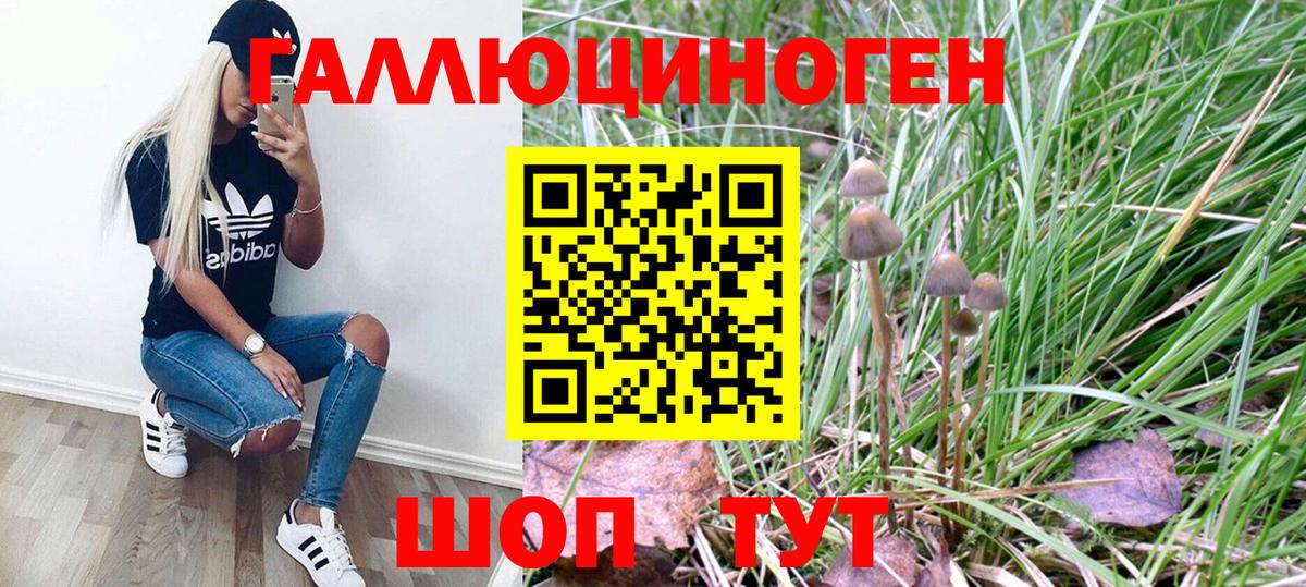 Белово  Галлюциногенные грибы GOLDEN TEACHER  Вход с VPN 